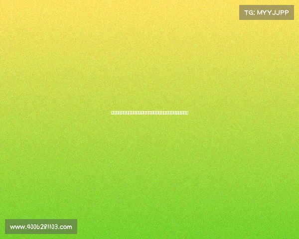 德甲裁判标准解析与实施细则：提升比赛公正性与竞技水平的关键因素